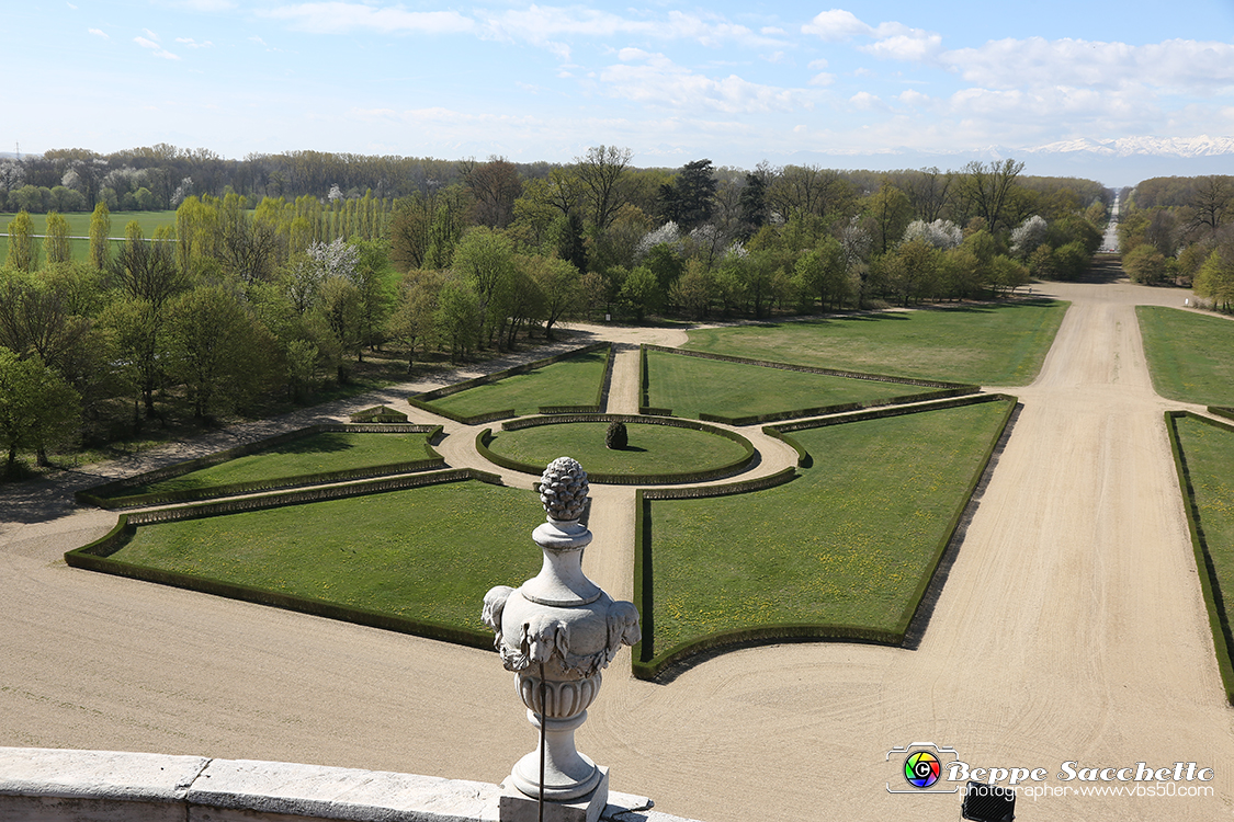 VBS_5873 - Sotto il Cervo - Palazzina di Caccia di Stupinigi.jpg